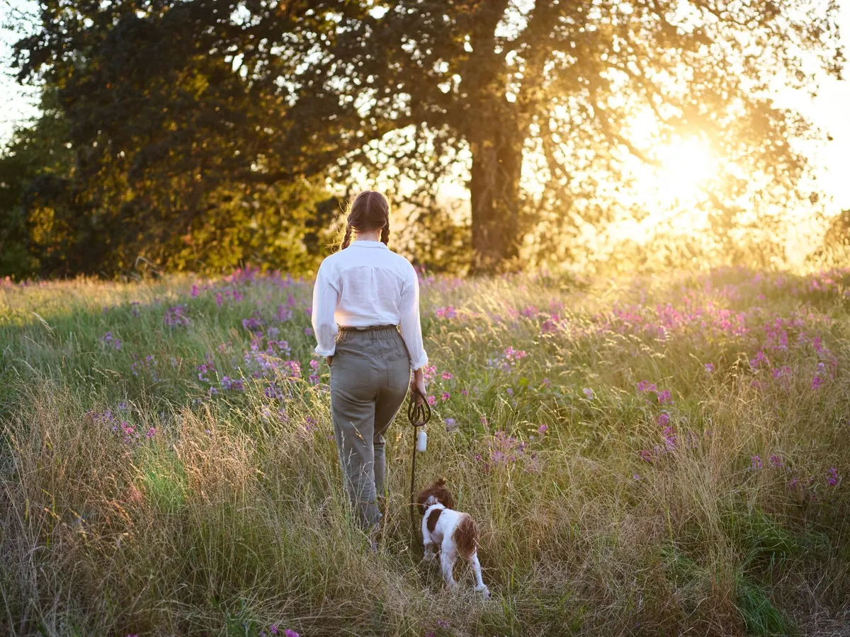 How to Find Local Wildflower Walks for a Late-Summer Weekend